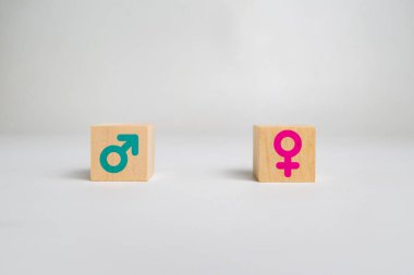 Beyaz arka planda izole edilmiş tahta bloklardaki erkek ve kadın sembolleri. cinsiyet eşitliği kavramı