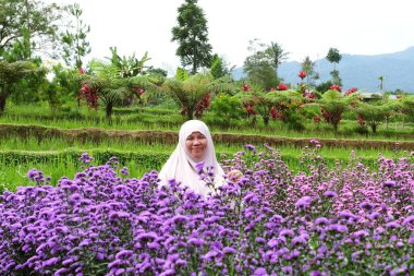 Güler yüzlü bir kadın Aydınlık güneşli bir günde mor bir çiçek bahçesinin tadını çıkarıyor.