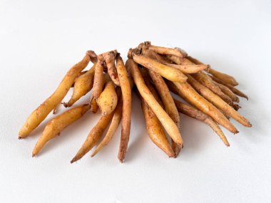 Temu kunci veya parmak kökü (Boesenbergia rotunda) veya beyaz arka planda izole edilmiş Çin anahtarları. Aşçılıkta, geleneksel tıpta ve Asya mutfağında kullanılan romatik bitkisel rizom.