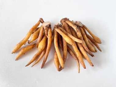 Temu kunci veya parmak kökü (Boesenbergia rotunda) veya beyaz arka planda izole edilmiş Çin anahtarları. Aşçılıkta, geleneksel tıpta ve Asya mutfağında kullanılan romatik bitkisel rizom.