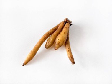 Temu kunci veya parmak kökü (Boesenbergia rotunda) veya beyaz arka planda izole edilmiş Çin anahtarları. Aşçılıkta, geleneksel tıpta ve Asya mutfağında kullanılan romatik bitkisel rizom.