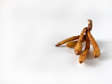 Temu kunci ya da parmak kökü (Boesenbergia rotunda) ya da kopyalama alanı olan beyaz arkaplanda izole edilmiş Çin anahtarları. Aşçılıkta, geleneksel tıpta ve Asya mutfağında kullanılan romatik bitkisel rizom.