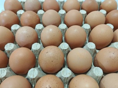 Top-down view of multiple brown chicken eggs arranged in a paper carton tray