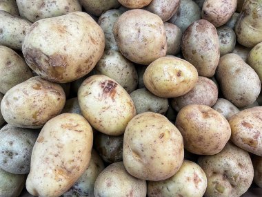 Yakın plan, geniş bir taze patates yığınının tam kare görüntüsü. Çiğ, yıkanmamış yumru doğal lekeleri ve renk çeşitlerini gösterir. Toprak dokusunu ve organik doğayı vurgular..