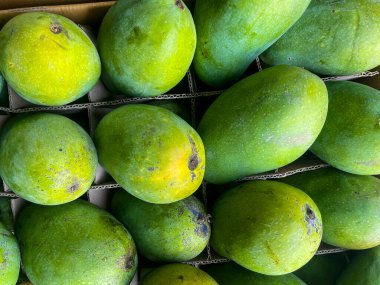 Olgun mango yığını, yiyecek tazeliği, kalite veya tarımsal temalı görseller için ideal..