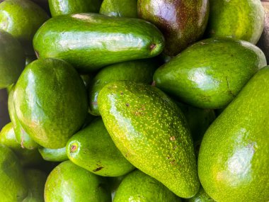 Zengin yeşil tenli taze avokado yığını, tropikal meyve temaları için mükemmel, sağlıklı gıda görselleri, sağlıklı yağlar, sağlıklı yiyecekler, vegan, keto diyeti ve pazar fotoğrafçılık üretiyor..