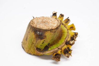 Muzu bitmiş muzlu meyve kümesi..