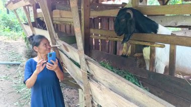 Dişi bir çiftçi çiftlik hayvanlarını akıllı telefonuyla kontrol ediyor, geleneksel çiftçiliği modern teknolojiyle harmanlıyor. Bu görüntüler tarımın geleceğini yansıtıyor..