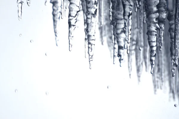 Cold icicles dripping with water behind Niagara Falls Royalty Free Stock Photos