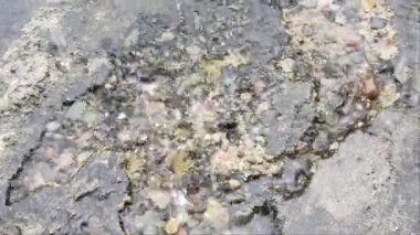 Sert asfalt ve çakıl taşlarının üzerine düşen yağmur suyu