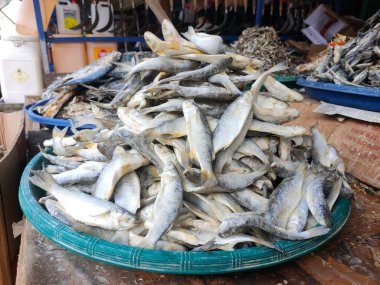 Geleneksel deniz ürünleri pazarında büyük bir sepetin içinde taze balık.