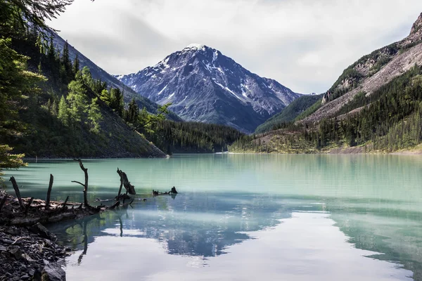 Altay Russia , lake — Stock Photo, Image