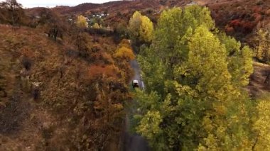 Renkli bir sonbahar manzarasında beyaz araba sürüyordu.