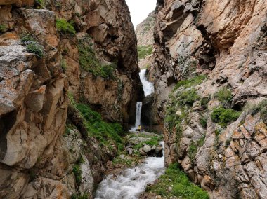 Engebeli bir dağ geçidini keşfeden kişi, güçlü bir şelalenin yanında, yeşil bitkilerle yükselen kayalık uçurumlar ve akıntıyla akan bir nehir arasında duruyor.