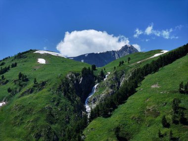 Bereketli yeşil alp çayırı ve dik dağ yamacında açık mavi bir gökyüzü altında ağaçlar ve kar parçalarıyla çevrili kayalık bir geçitten çağlayan bir şelale var.