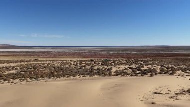 Kurak bir çöl manzarası üzerinde uçan kurak bir bitki örtüsü ve kum tepecikleri, ufukta büyük, beyaz ve kırmızı bir tuz tabakasını ortaya çıkarıyor Patagonya, Aral, Kazakistan 'da açık mavi bir gökyüzünün altında.