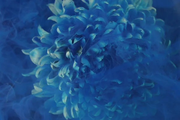 Witte Bloem Blauwe Inkt Creatieve Abstracte Lente Natuur — Stockfoto