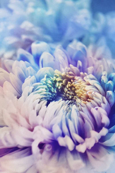 Біла Квітка Синьому Чорнилі Творча Абстрактна Весняна Природа Концепція Літнього Стокове Фото