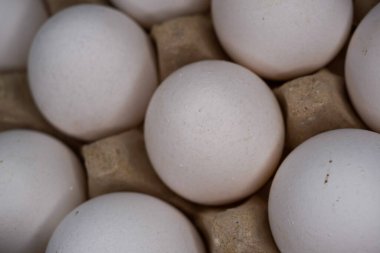 Tepside ya da yumurta kutusunda organik beyaz yumurta. Market veya kahvaltı için kartonda tavuk yumurtası. Mutfakta protein diyet kabı var..