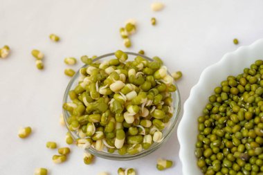 Filizlenmiş moong, mung veya yeşil gram, organik tip, kasede sağlıklı bir vejetaryen yemeği, ve beyaz arka planda bir kase normal ay var..