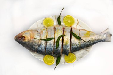 Hint balığı kızartma tarifi. Taze Hilsa balığı ya da Ilish balığı ya da Poplet dilimleri. Temizlendi ve baharatlarla birlikte kızartılmaya hazır. İçindekiler ve tarif, kopyalama alanı olan beyaz arkaplan.