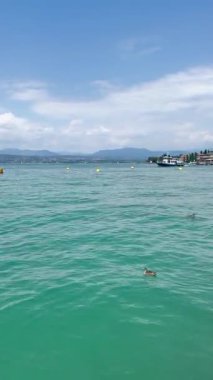 İtalya, Garda Gölü, 12 Temmuz 2025. Garda Gölü 'nün turkuvaz suyu, palmiye ağaçları ve açık yaz gökyüzü altındaki dağ manzaralı huzurlu videosu. Seyahat veya doğa projeleri için mükemmel. Yazar: Djundiet A.