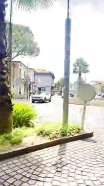 İtalya, Garda Gölü, 12 Temmuz 2025. Huzurlu bir klip, Garda Gölü yakınlarında palmiye ağaçları ve fıskiyesi olan küçük bir İtalyan kasaba meydanını gösteriyor. Yaşam tarzı ya da seyahat projeleri için mükemmel. Yazar: Djundiet A.