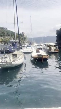 İtalya, Portofino, 1 Ağustos 2023.Barışçıl İtalyan limanı geleneksel tekneleri, lüks yatları ve yemyeşil yamaçlarla çevrili villaları var. Yazar: Djundiet A.