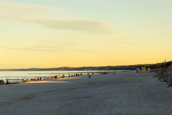 Kalabalık, Baltık Denizi 'ne doğru uzanan ve arka planda çam ağaçlarıyla kaplı kum tepeleri bulunan ılık, altın bir günbatımında Ustka' daki geniş kumlu plajın keyfini çıkarıyor.