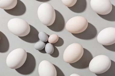 Beyaz, mavi ve soluk pembe yumurtalardan oluşan bir kolleksiyon nötr gri bir yüzey üzerinde ustalıkla düzenlenir ve farklı gölgelerle görsel olarak çekici bir desen oluşturur.