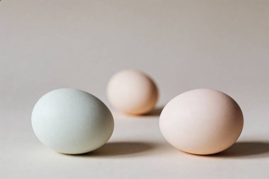 Mavi ve pembenin ince tonlarında organik yumurtalardan oluşan bir üçlü, sade bir yüzeye ustalıkla yerleştiriliyor ve minimalist bir estetik yaratıyor.