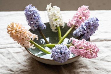 Çeşitli pastel gölgelerde çiçek açan sümbüllerin bir koleksiyonu suyla dolu kırsal seramik bir kapta sergilenir.