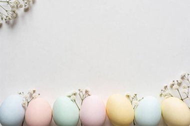 Küçük beyaz çiçeklerle bezenmiş pastel renkli Paskalya yumurtaları geniş bir kopya alanı olan huzurlu ve neşeli bir bahar sahnesi yaratır.