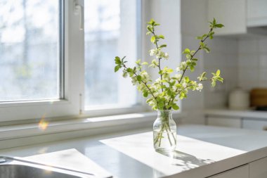 Temiz cam bir vazoda çiçek açan dallar, küçük beyaz çiçekler ve yeşil yapraklar bulunur. Pencerenin yanındaki mutfak tezgahında güneş ışığıyla yıkanır.