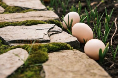 Doğal Paskalya yumurtaları, topraktan çıkan yeni yeşil filizlerle çevrili yosunlarla kaplı taştan bir bahçe yolu boyunca yerleştirilir.
