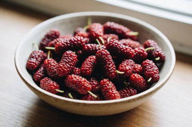 Koyu kırmızı dutlarla dolu bir kâsenin yakından görüntüsü, dokulu yüzeylerini ve narin yeşil saplarını sergiliyor, doğal ışıkla yıkanmış.