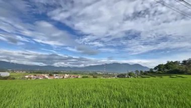 Geniş yeşil pirinç tarlaları uçsuz bucaksız bulutlu gökyüzünün altında uzak bir köye ve görkemli dağlara doğru uzanıyor..