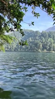 Arkasında bir göl olan güzel bir manzara.