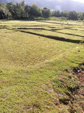 İsrail 'in kuzeyindeki Negev Çölü' nün güzel manzarası