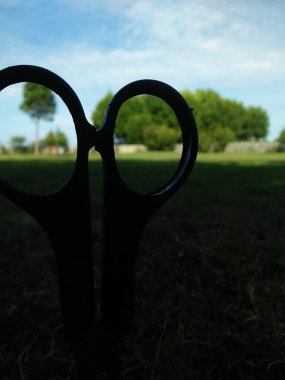 Ahşap bir çitin siyah beyaz bir çift yakın plan fotoğrafı.