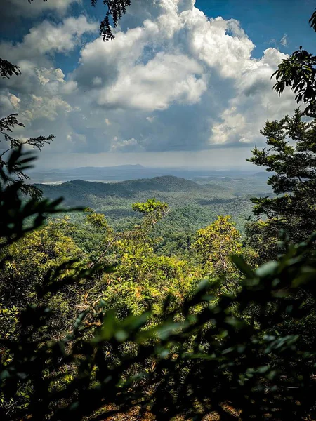 Ağaçları ve mavi gökyüzü olan güzel bir manzara.