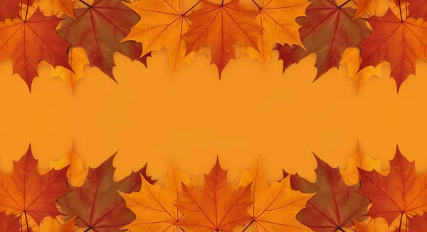 Kusursuz sonbahar şablonu. vektör illüstrasyonu