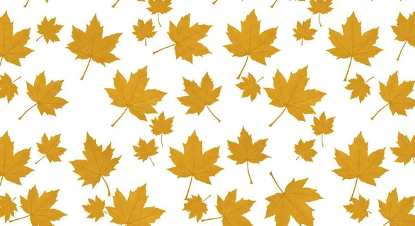 Sonbahar yaprakları deseni. pürüzsüz arkaplan