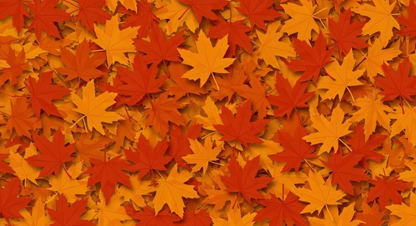 Sonbahar yaprakları arka plan. sonbahar yaprakları arka plan.