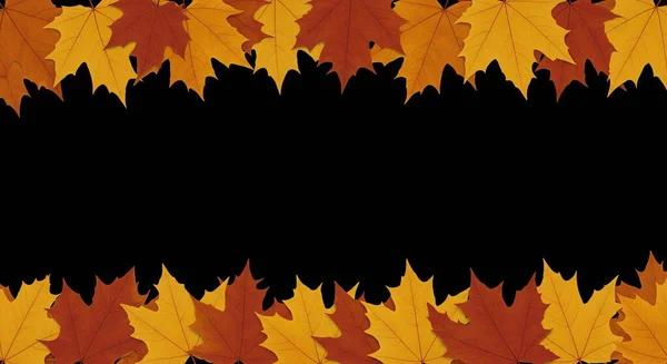 Sonbahar akçaağacı arkaplanı terk eder