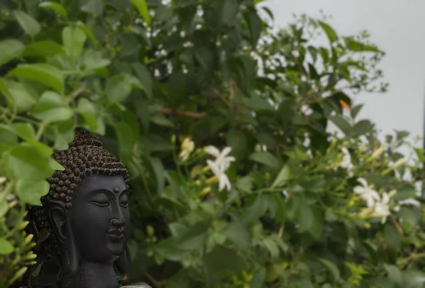 Yeşil yapraklı bir Buda 'nın yakın plan fotoğrafı.