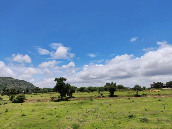 Yeşil Çimen ve Mavi Gökyüzü