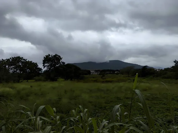 Ağacı olan güzel bir manzara