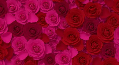 kırmızı güller arka plan, vektör