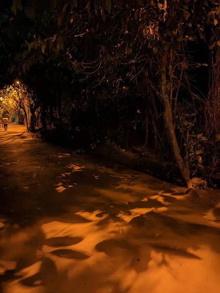 Şehrin güzel gece manzarası